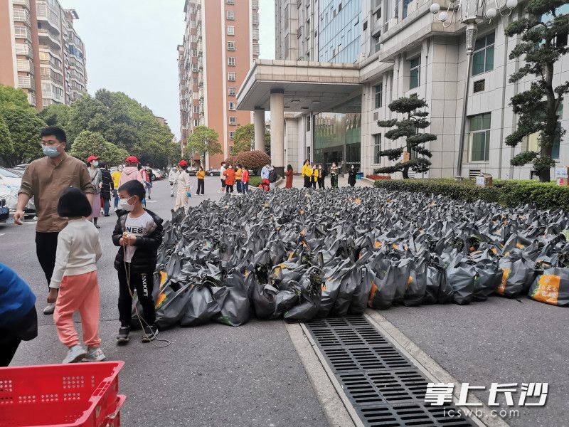 780份蔬菜包送到了湘林小區(qū)院內(nèi)。長沙晚報實(shí)習(xí)生 羅楊 攝